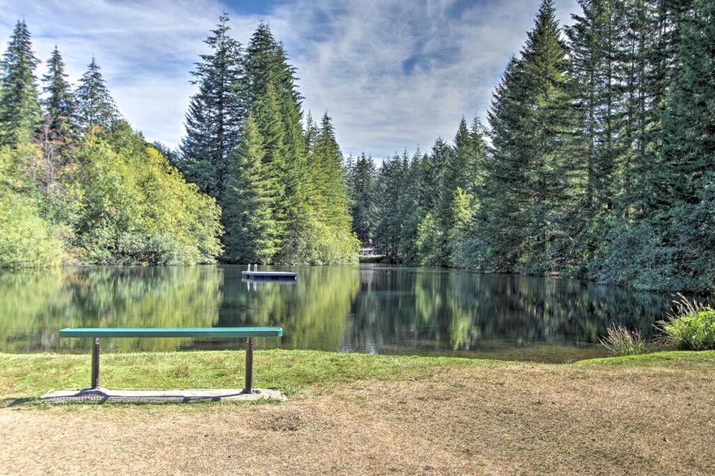 New Modern Cabin! 5Mi To Mt Rainier National Park! Hot Tub & Wifi Ashford Exterior photo