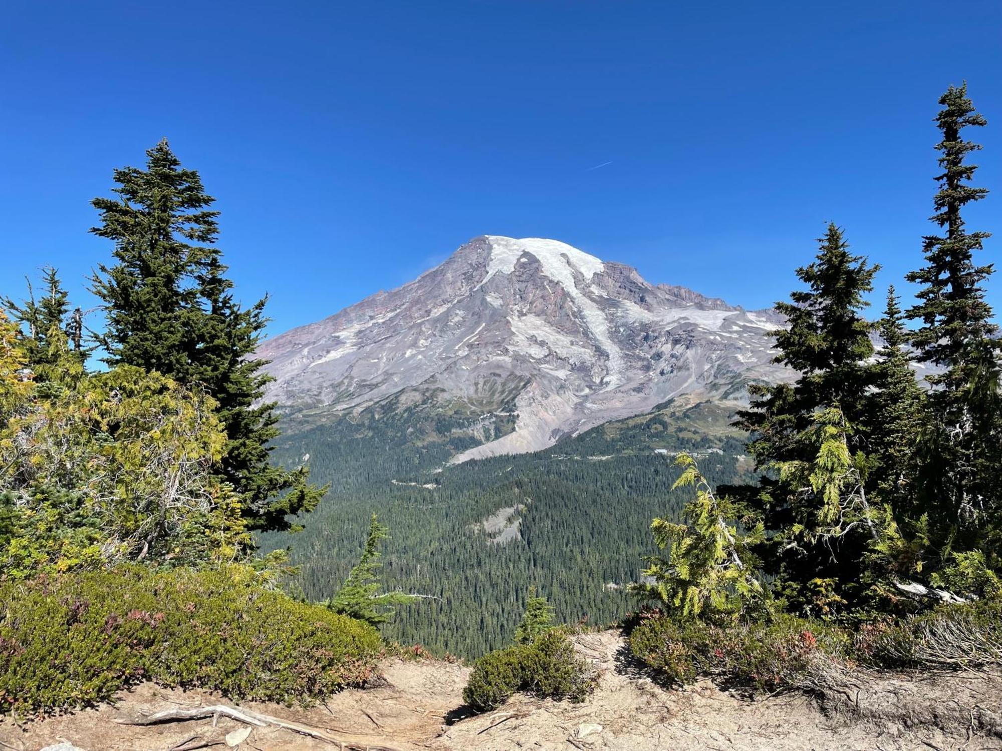 New Modern Cabin! 5Mi To Mt Rainier National Park! Hot Tub & Wifi Ashford Exterior photo