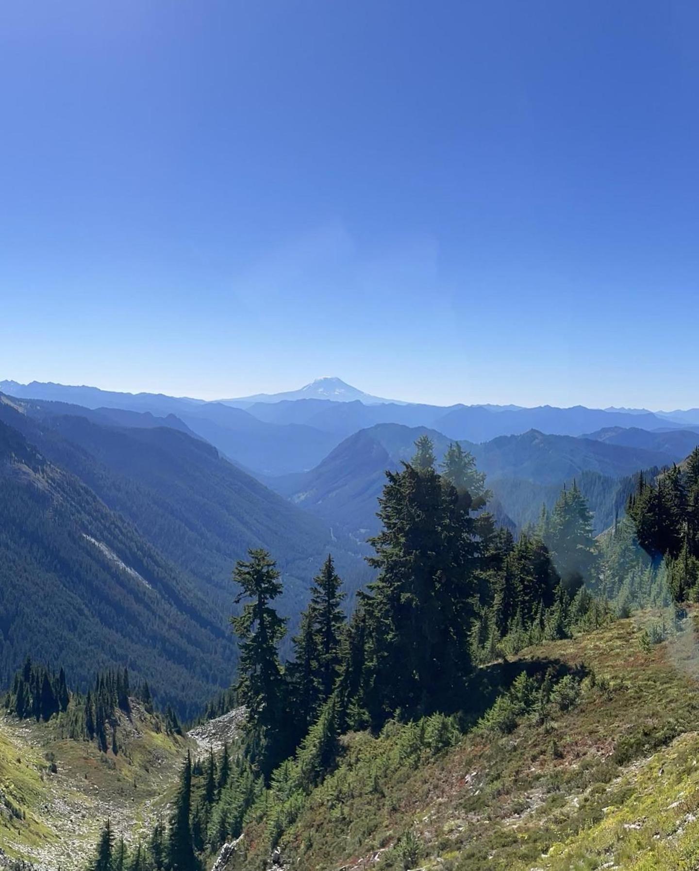New Modern Cabin! 5Mi To Mt Rainier National Park! Hot Tub & Wifi Ashford Exterior photo